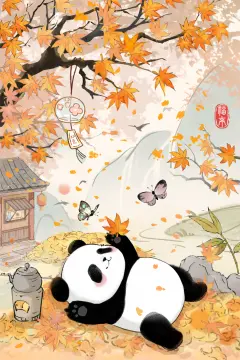 预览
