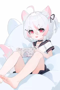 预览