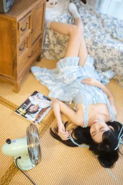 预览