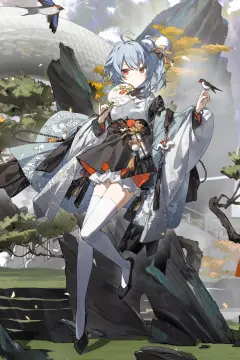 预览