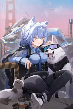 预览