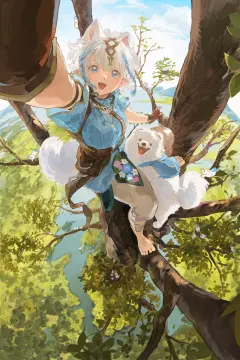 预览