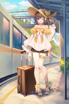 预览