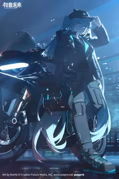 预览