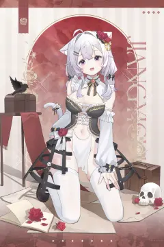 预览