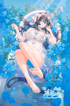 预览