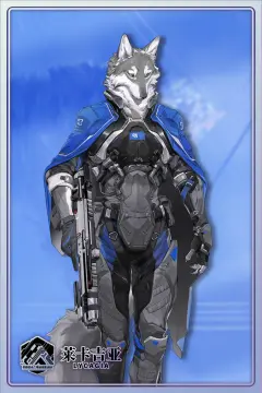 预览