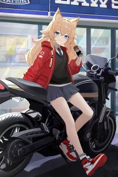 预览