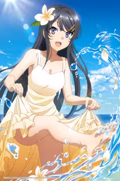预览