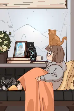 预览