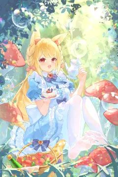 预览
