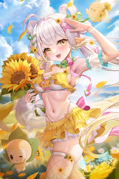 预览