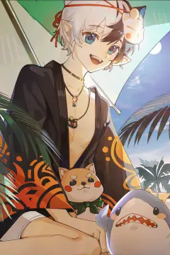 预览