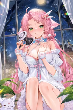 预览