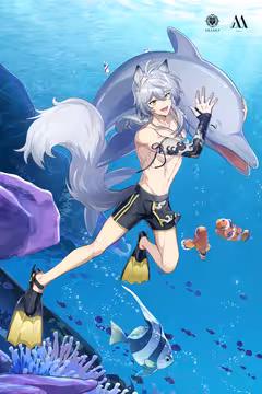 预览