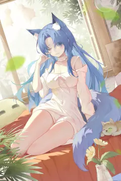 预览