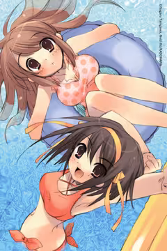预览