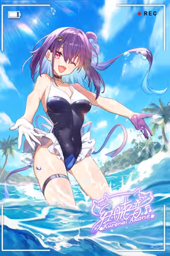 预览