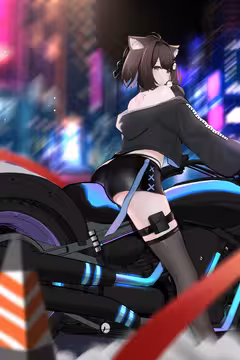 预览