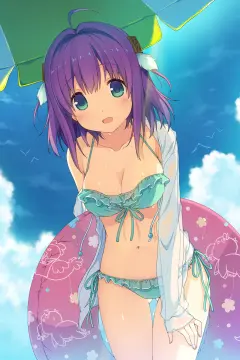 预览