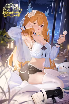 预览