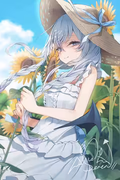 预览