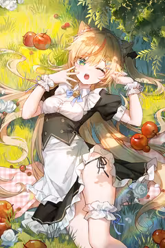 预览