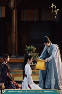 预览