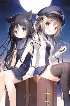 预览