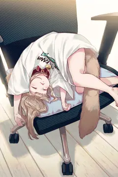预览