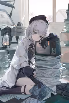 预览