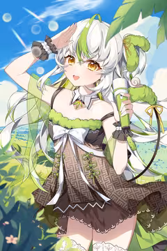 预览