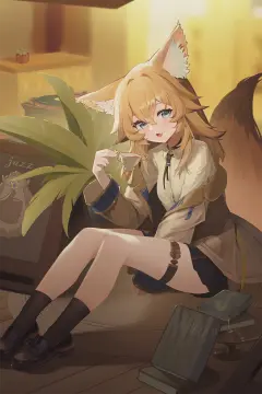 预览