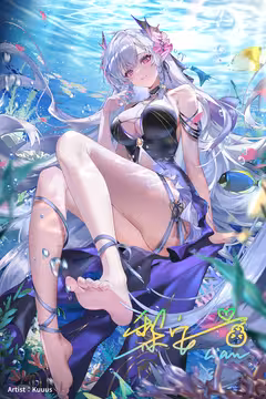 预览