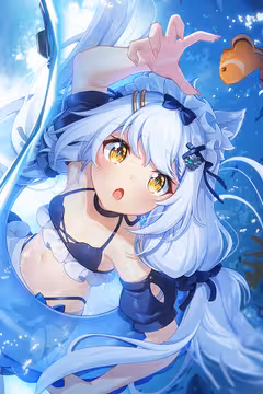 预览