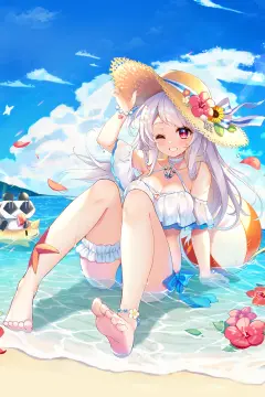预览