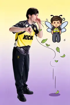 预览