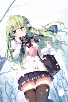 预览