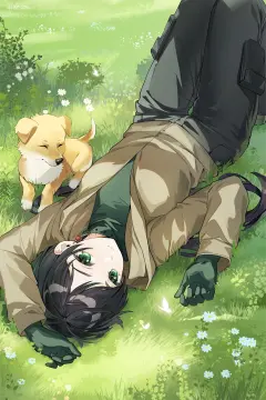 预览