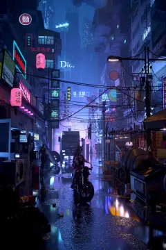 预览