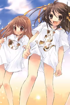 预览