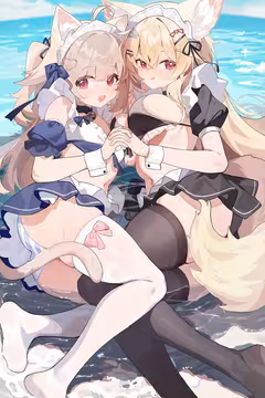预览