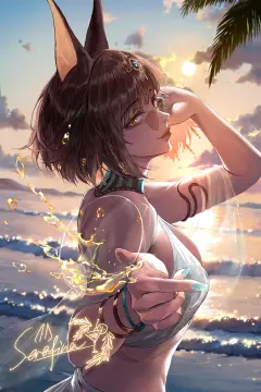 预览