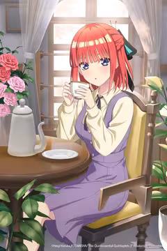预览