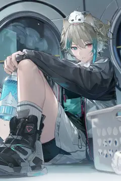 预览