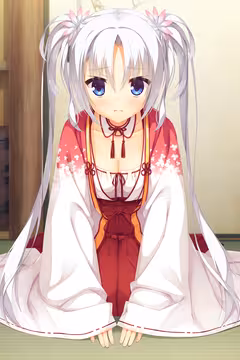 预览