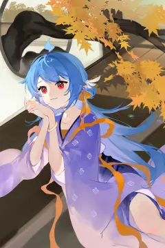 预览
