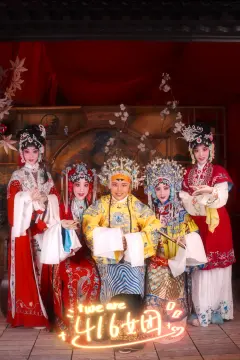 预览