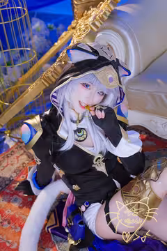 预览