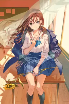 预览
